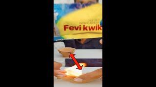 Fevikwik ko jalane se Jalti hai? #shorts experiment viral video