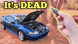 Here's What I Found Inside my $500 Mustang GT's Engine (I've never seen anything like this)