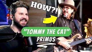 Bass Teacher REACTION | "Tommy The Cat" - Primus | HOW Does Les Claypool DO IT?