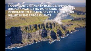 ФАРЕРЫ | FAROE ISLANDS | GRINDADRAP| ГРИНДАДРАП| LENA HADES SKULLS | ЧЕРЕПА ХЕЙДИЗ | ДЕЛЬФИНЫ-ГРИНДЫ