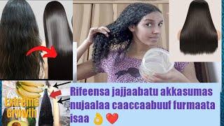 Hair composition useful for growth volume and softness /Rifeensa laffiisuuf Kan caccaabdu sirreessuu