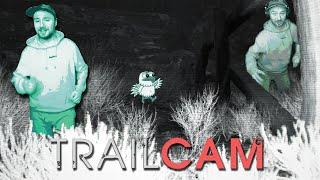 Horror Game About Working as a Tower Ranger || TRAILCAM