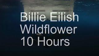 【10 Hours】Billie Eilish - Wildflower