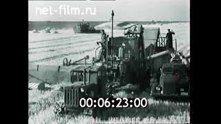 1959г. колхоз Победа Усть- Лабинский район Краснодарский край