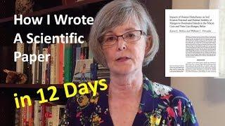 How I Wrote a Scientific Paper in 12 Days