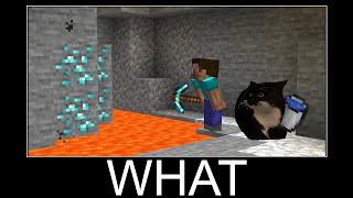 Very Helpful Maxwell the Cat in Minecraft wait what meme part 140