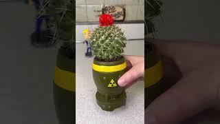 Planting a nuked Cactus in my Mini Nuke planter today ️ #fallout #mrsfallout #fallouttok  1 #reels