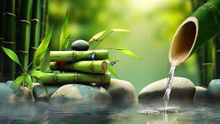 Relaxing Zen Music 24/7 - Bamboo, Relaxing Music, Meditation Music, Peaceful Music, Nature Sounds