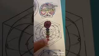 All is electro-magnetism, torus fields & ether