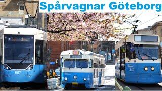 Spårvagnar i Göteborg - Stigbergstorget, Masthugget, Järntorget - M29, M31, M32, M33 - 2022 - 4k60