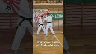 #pinian #kata #sono #ni #bunkai in #karate #kyokushin #part #two as #kihon and #kumite #practice
