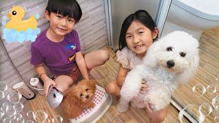 第一次幫狗狗洗澡！（日常）Jonnes行嗎？First Bath For Puppy！