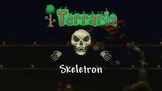 Skeletron Boss - Terraria Expert Mode Mage