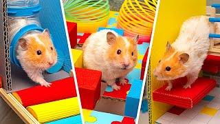 DIY Trickiest Hamster Maze | Rainbow Friends Style 