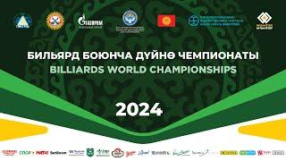 Финал | Володин Н. - Чимбаев Е. | Чемпионат мира 2024 "Комбинированная пирамида"