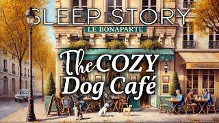 A Soothing Bedtime Story: The Cozy Dog Café in Paris