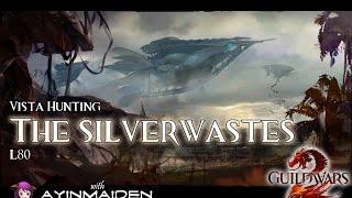 Guild Wars 2 - The Silverwastes Vistas