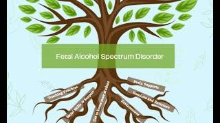 Spotlight on FASD