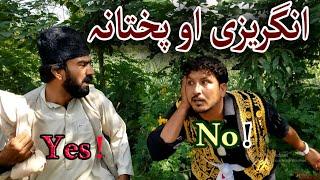 Da Sada Gul English  | Funny Video By Sada Gul Vines | Sada Gul Vines 2020