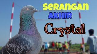 Sot kejam Crystal maskot team PUSAKA pkl