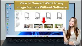 How to View or Convert WebP Images to any Image Formats Without Software (WebP to JPG)