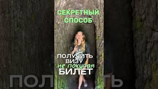 Как получить визу без билета