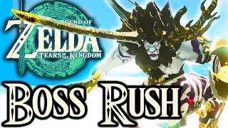 BOSS-RUSH: ALLE SILBER LEUNEN VERNICHTEN! The Legend of Zelda Tears of The Kingdom Part 75 [Deutsch]