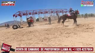 Judas vs Chikitin - Photo Finish Camera Sale