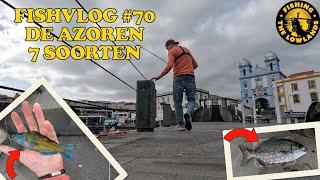 FishVlog #70. De Azoren. 7 soorten vis.