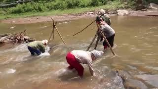 Vượt qua vùng núi thiêng (hành trình đi tìm thuốc nam) - Tập 02 | Nhịp Sống Tây Bắc