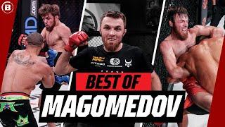 Don't Mess with The TIGER!  | Magomed Magomedov Highlights | Bellator MMA