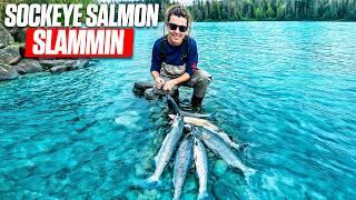 Salmon Fishing The Russian River, Alaska For Sockeye/Red Salmon 2024