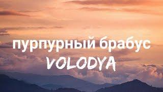 Volodya - пурпурный брабус ( Lyrics )