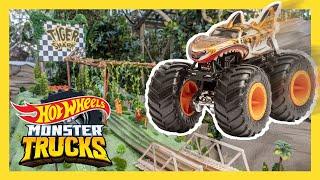  Krasse Crashs und coole Stunts  | Monster Trucks | @HotWheelsDeutschland