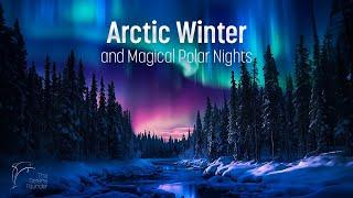 Arctic Winter Journey Through the Polar Night for Inner Alignment