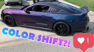 3M GLOSS DEEP SPACE FULL WRAP | 2016 MUSTANG GT