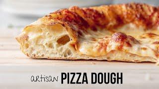 artisan pizza dough- crispy, chewy, bubbly crust