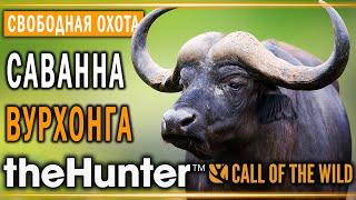 theHunter Call of the Wild #7  - Саванна Вурхонга (часть 1) - Свободная Охота