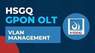 HSGQ GPON OLT Tutorial - VLAN Management | HSGQ OLT Configuration Tutorial Step by Step