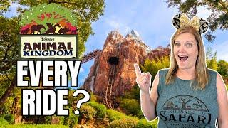 BEST DISNEY DAY!  Animal Kingdom + Magic Kingdom = 1 DAY!