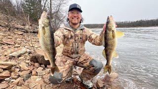 Public River Walleye Shore Fishing! (CATCH CLEAN COOK)