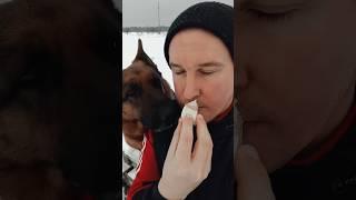 Кому-то сало а кому-то хлебушек  #собака #смех #веселоенастроение #юмор