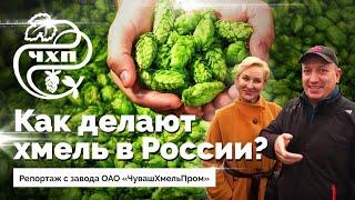 Как делают хмель в России? ЧувашХмельПром