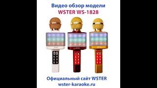 WSTER 1828 - Караоке микрофон - Видео обзор модели