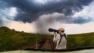 Meeting the Great Apes & Chimps of East Africa