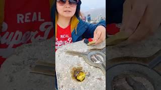 Top mountain in the UK  | #hikking #bennevis #ukvlog #summerspecial #2025mix