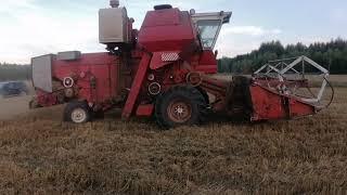 Беларусь. Sovi machinery in Belarus, grain harvesting, combine SK-5 Niva USSR, belarusian hinterland