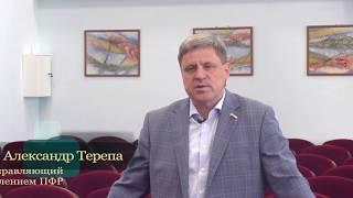 Терепа А.Г.: программа кандидата