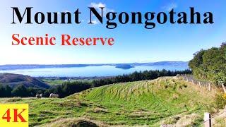 Mount Ngongotaha Scenic Reserve - Rotorua - New Zealand