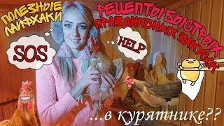 SOS! Блондинка в КУРЯТНИКЕ. Как приготовить легкие закуски на новогодний стол?